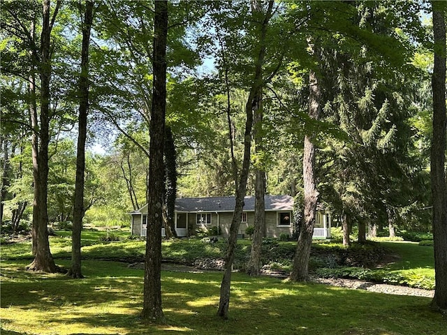 427 Langmaid Ln, Bradford Town, PA 16701 - photo 15