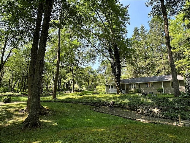 427 Langmaid Ln, Bradford Town, PA 16701 - photo 16