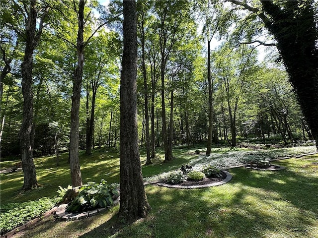 427 Langmaid Ln, Bradford Town, PA 16701 - photo 46