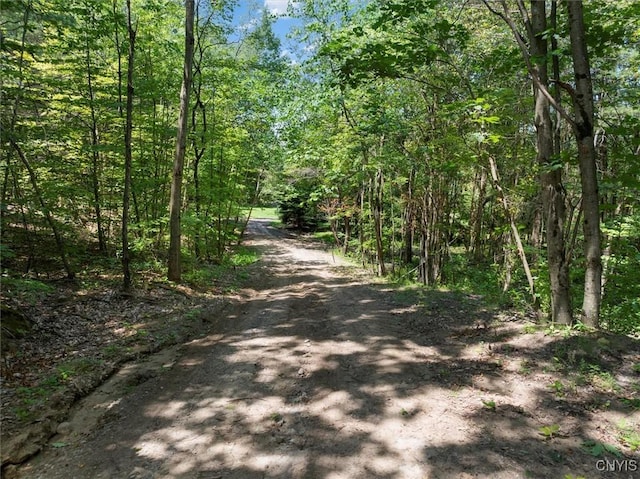 134 E Rd, Ephratah, NY 13452 - photo 30