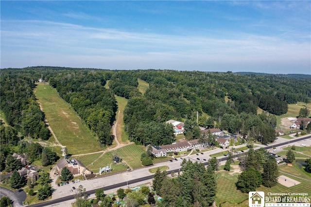 4468 Old Road Camelot Unit 4468, French Creek, NY 14724 - photo 6