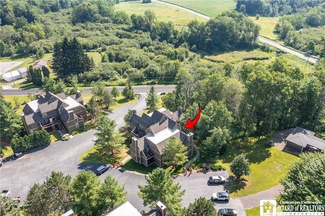 4468 Old Road Camelot Unit 4468, French Creek, NY 14724 - photo 10