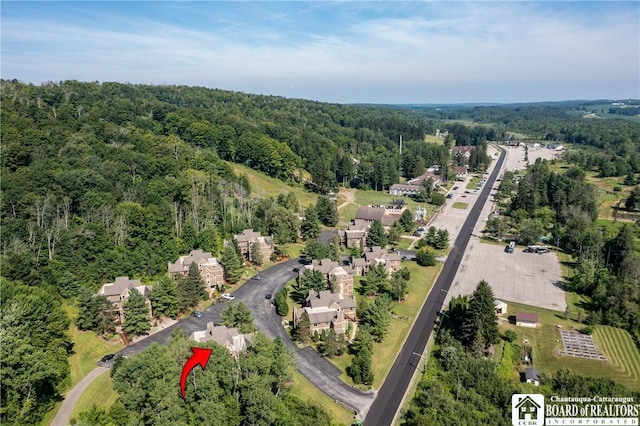 4468 Old Road Camelot Unit 4468, French Creek, NY 14724 - photo 11