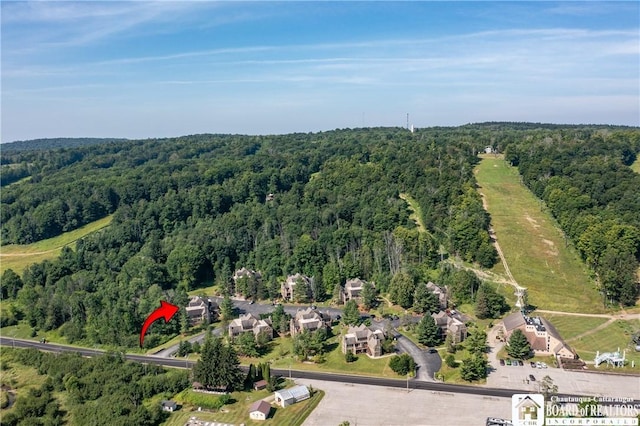4468 Old Road Camelot Unit 4468, French Creek, NY 14724 - photo 12