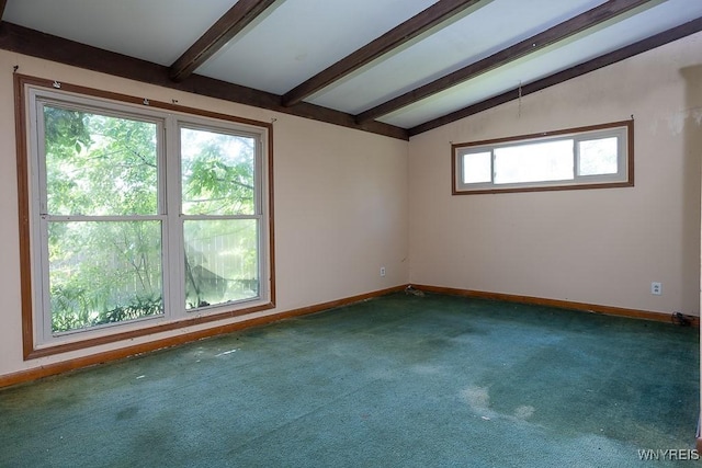 18 Woodlee Ln, Grand Island, NY 14072 - photo 4
