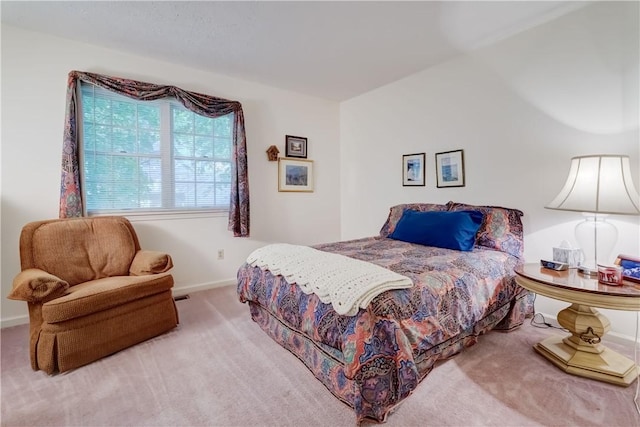 16 Adams Trl, Ogden, NY 14559 - photo 35