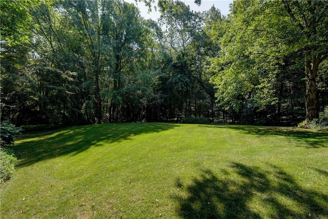 16 Adams Trl, Ogden, NY 14559 - photo 44