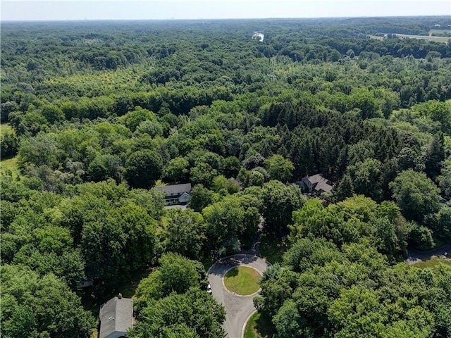 16 Adams Trl, Ogden, NY 14559 - photo 45