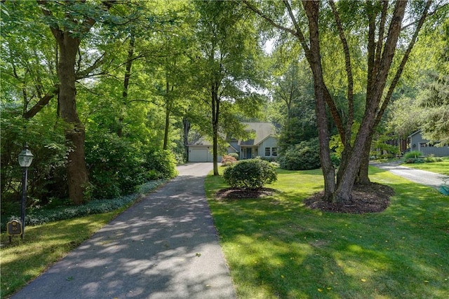 16 Adams Trl, Ogden, NY 14559 - photo 3
