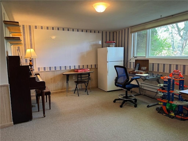 41 Sayles St, Alfred, NY 14802 - photo 23