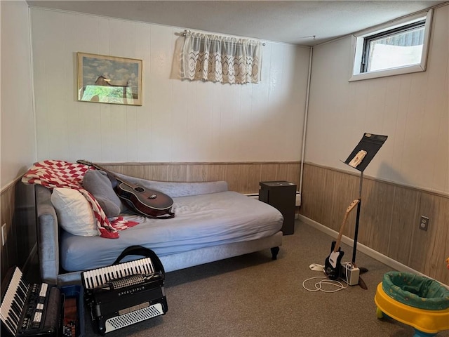 41 Sayles St, Alfred, NY 14802 - photo 25