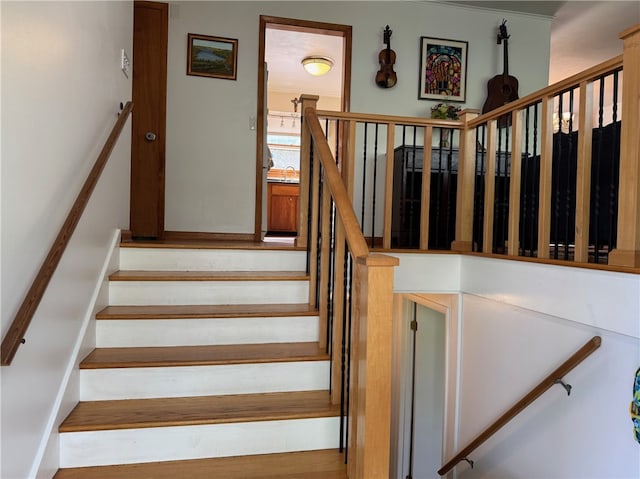 41 Sayles St, Alfred, NY 14802 - photo 3