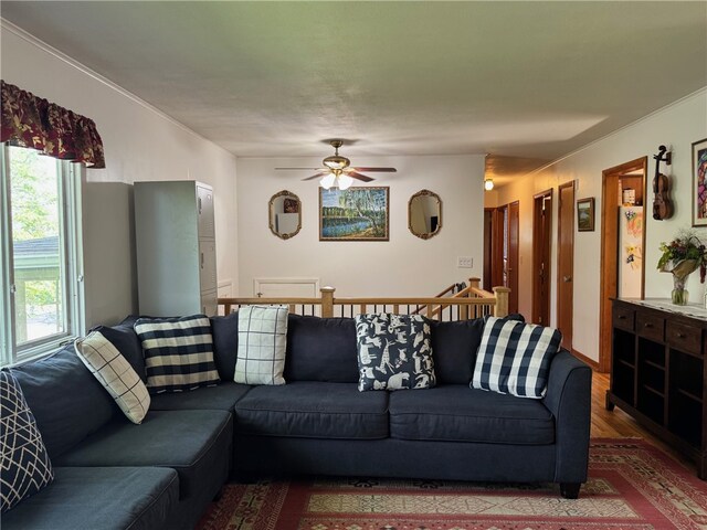 41 Sayles St, Alfred, NY 14802 - photo 5
