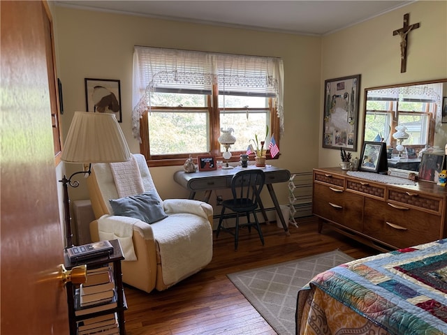 41 Sayles St, Alfred, NY 14802 - photo 12