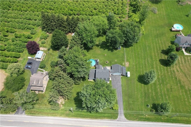 954 Walker Lake Ontario Rd, Hamlin, NY 14468 - photo 50