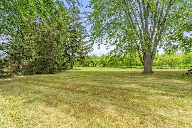 954 Walker Lake Ontario Rd, Hamlin, NY 14468 - photo 43