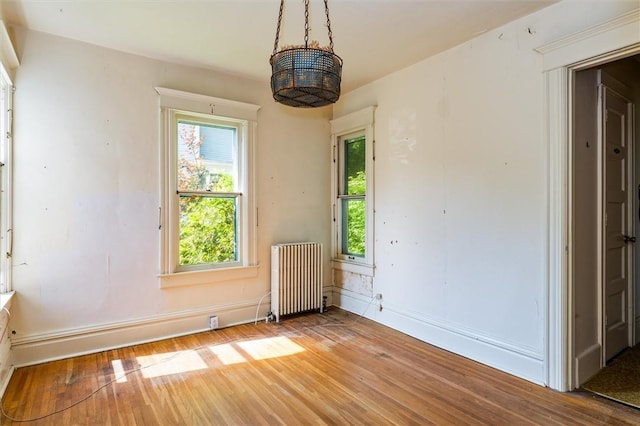 34 Thrall St, Naples, NY 14512 - photo 11
