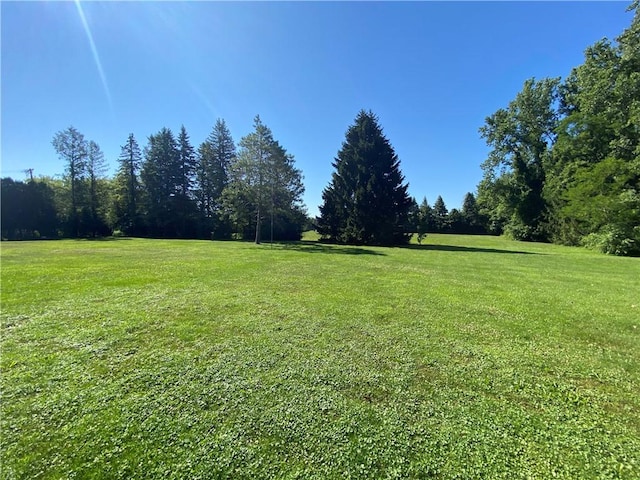 3881 Chaintree Dr, Marion, NY 14505 - photo 15