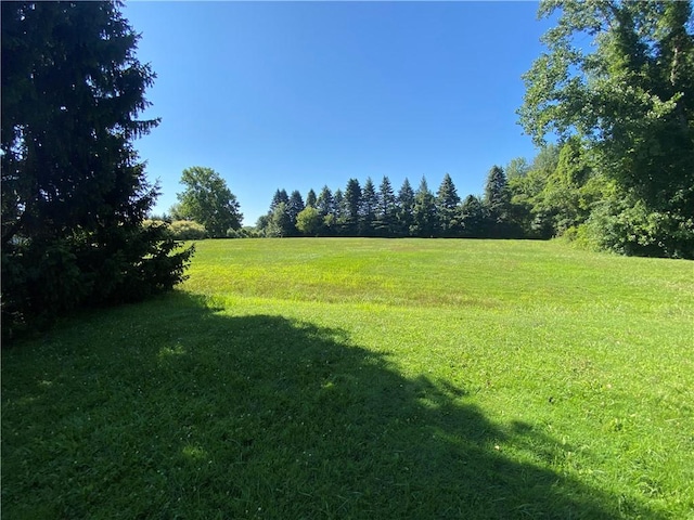 3881 Chaintree Dr, Marion, NY 14505 - photo 47