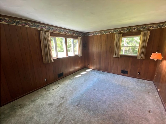 3881 Chaintree Dr, Marion, NY 14505 - photo 30