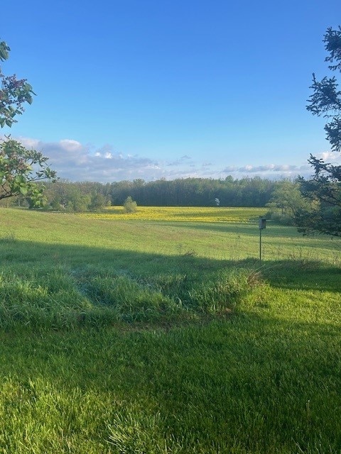 1127 Cheese Factory Rd, Mendon, NY 14472 - photo 1