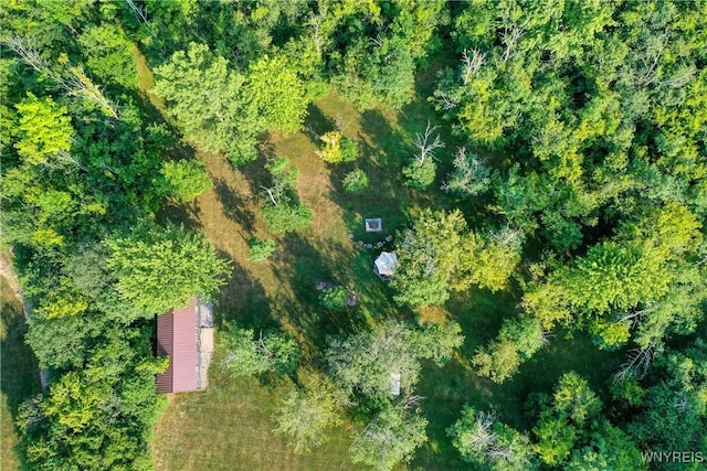 996 Upper Mountain Rd, Lewiston, NY 14092 - photo 46