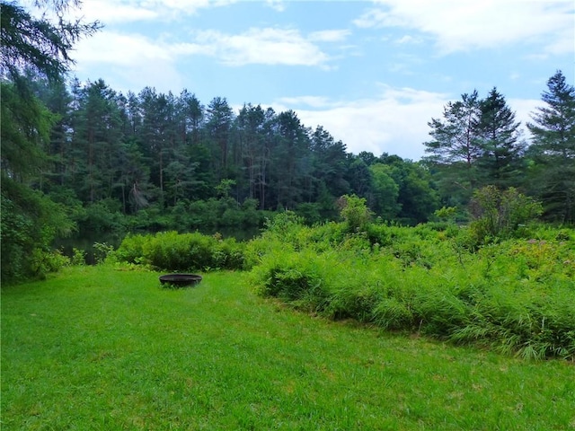 3015 Edmonds Rd, Boonville, NY 13309 - photo 5
