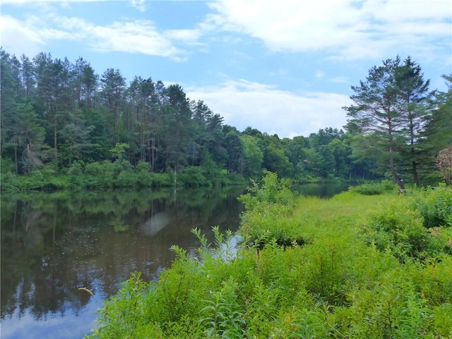 3015 Edmonds Rd, Boonville, NY 13309 - photo 6