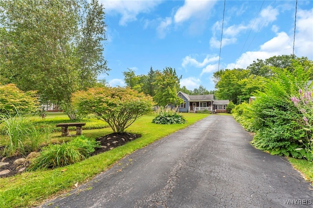 9125 Iroquois St, Evans, NY 14006 - photo 3