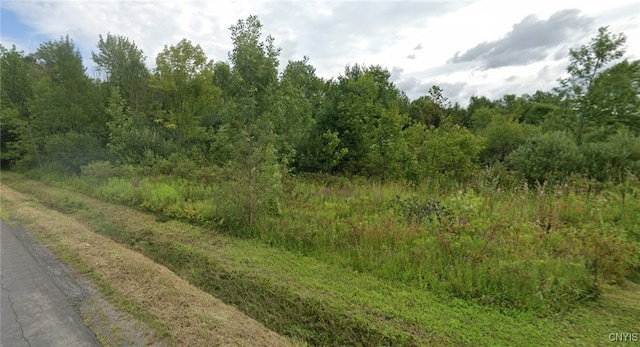 Lower Lawrence St, Westmoreland, NY 13440 - photo 3