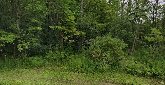 Lower Lawrence St, Westmoreland, NY 13440 - photo 5
