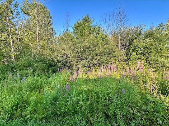 Lower Lawrence St, Westmoreland, NY 13440 - photo 2