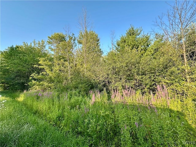 Lower Lawrence St, Westmoreland, NY 13440 - photo 6
