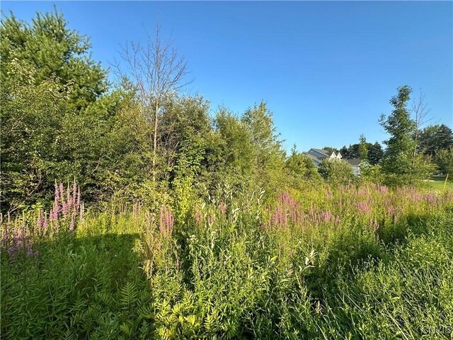 Lower Lawrence St, Westmoreland, NY 13440 - photo 7