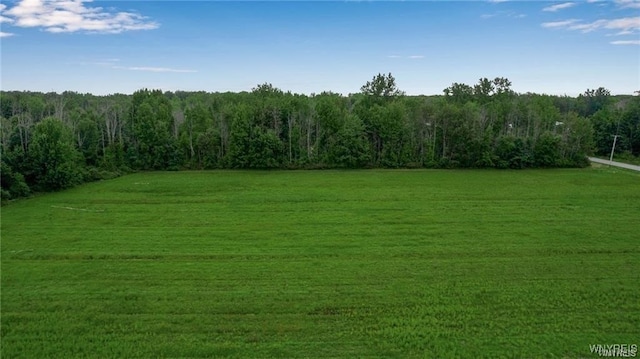 7700 Salt Rd, Clarence, NY 14032 - photo 2