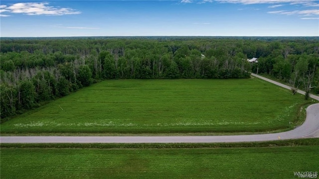 7700 Salt Rd, Clarence, NY 14032 - photo 4