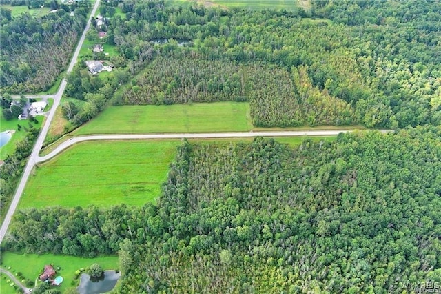 7700 Salt Rd, Clarence, NY 14032 - photo 8