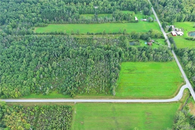 7700 Salt Rd, Clarence, NY 14032 - photo 9