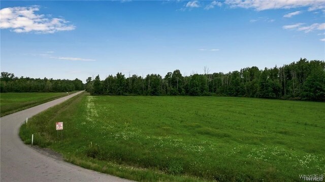7700 Salt Rd, Clarence, NY 14032 - photo 11