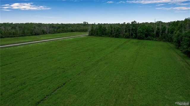 7700 Salt Rd, Clarence, NY 14032 - photo 13