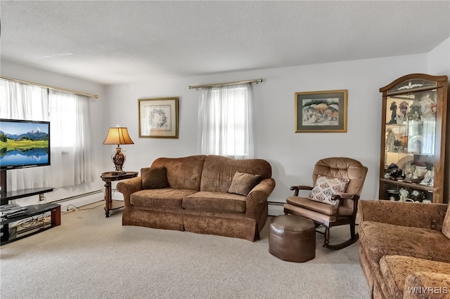 266 Terrace Blvd, Cheektowaga, NY 14043 - photo 14