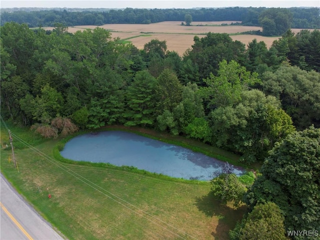 3101 Culvert Rd, Ridgeway, NY 14103 - photo 33