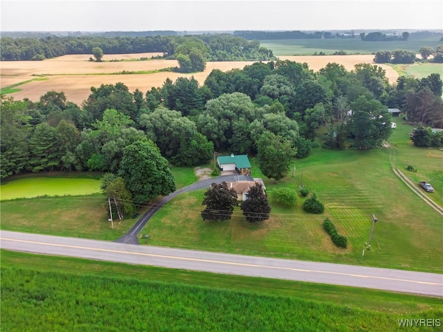 3101 Culvert Rd, Ridgeway, NY 14103 - photo 36