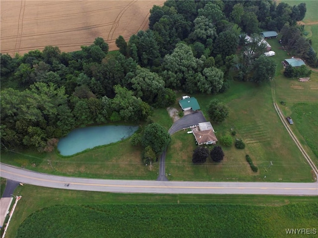 3101 Culvert Rd, Ridgeway, NY 14103 - photo 37