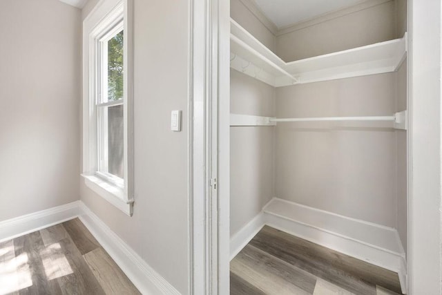 313 Grant Ave, Syracuse, NY 13207 - photo 12