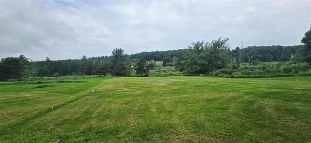1657 County Highway 4, Butternuts, NY 13825 - photo 6