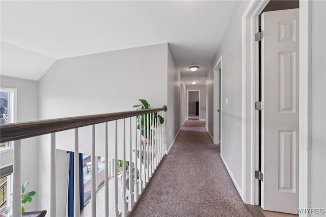 5390 Briannas Nook, Clarence, NY 14031 - photo 27