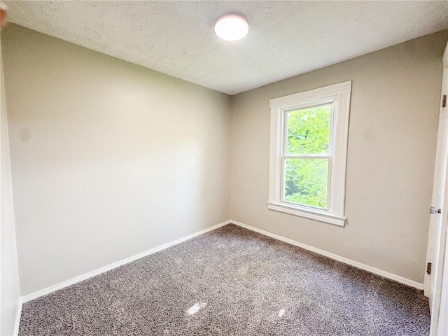 43 Warner St, Rochester, NY 14606 - photo 12