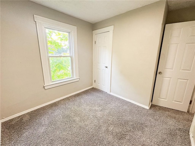 43 Warner St, Rochester, NY 14606 - photo 13