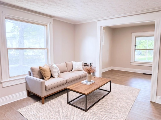 43 Warner St, Rochester, NY 14606 - photo 2